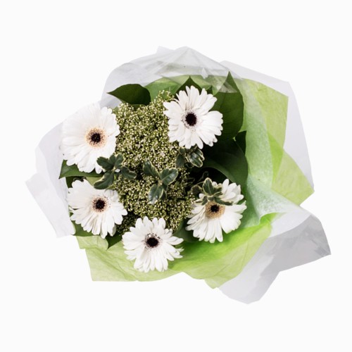 Posy Gerbera Bouquet 